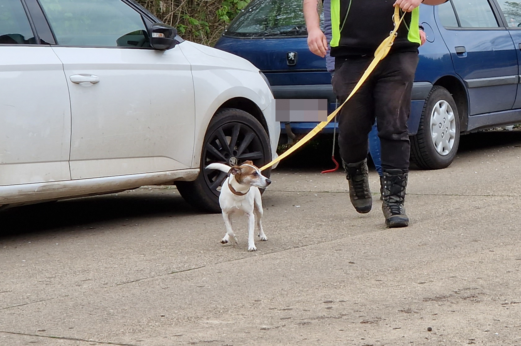 ARS redt hond uit auto aan illegale raveparty