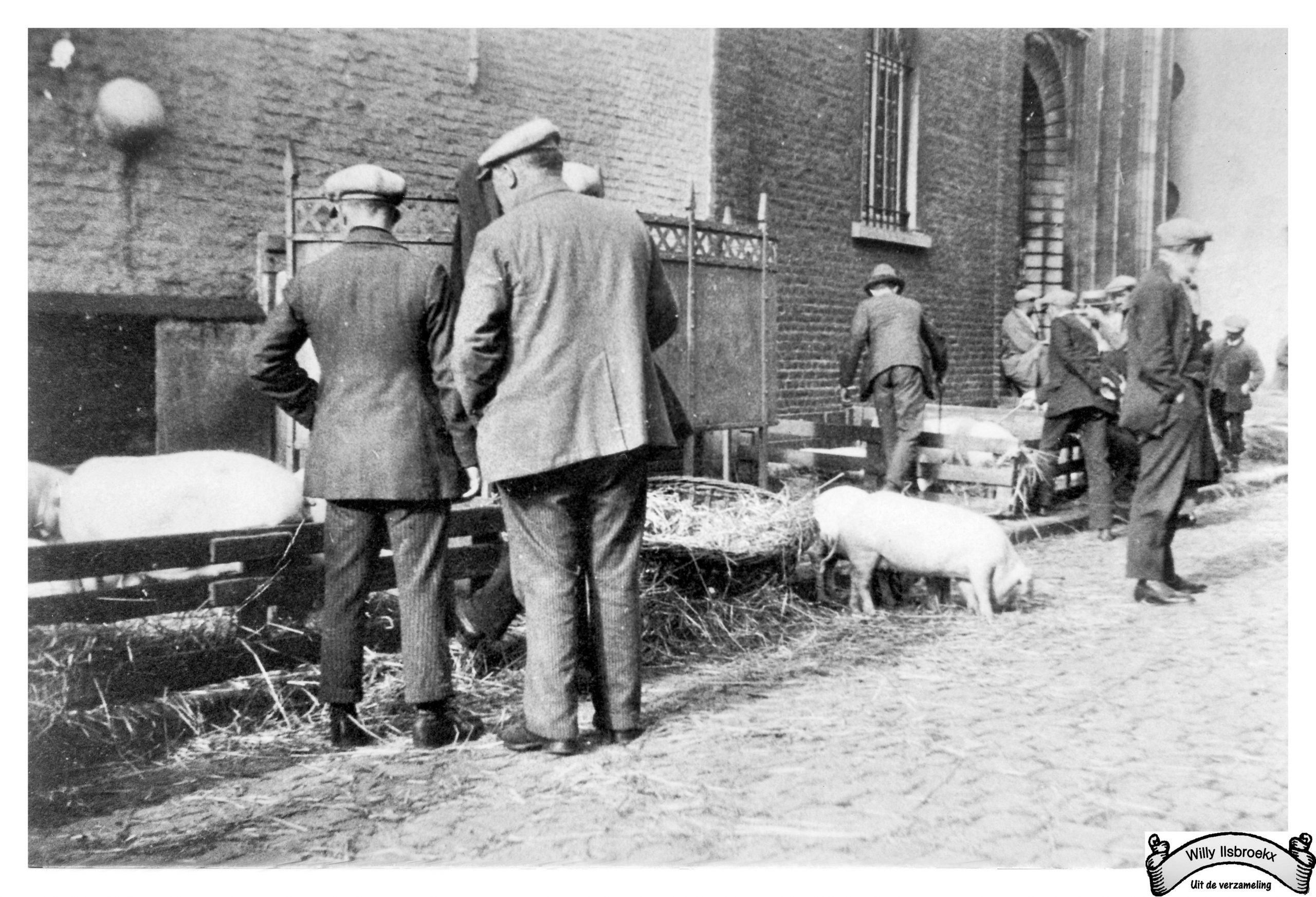 Zes tentoonstellingen met een beestige blik op erfgoedWAT HEBBEN DIEREN MET ERFGOED TE MAKEN?