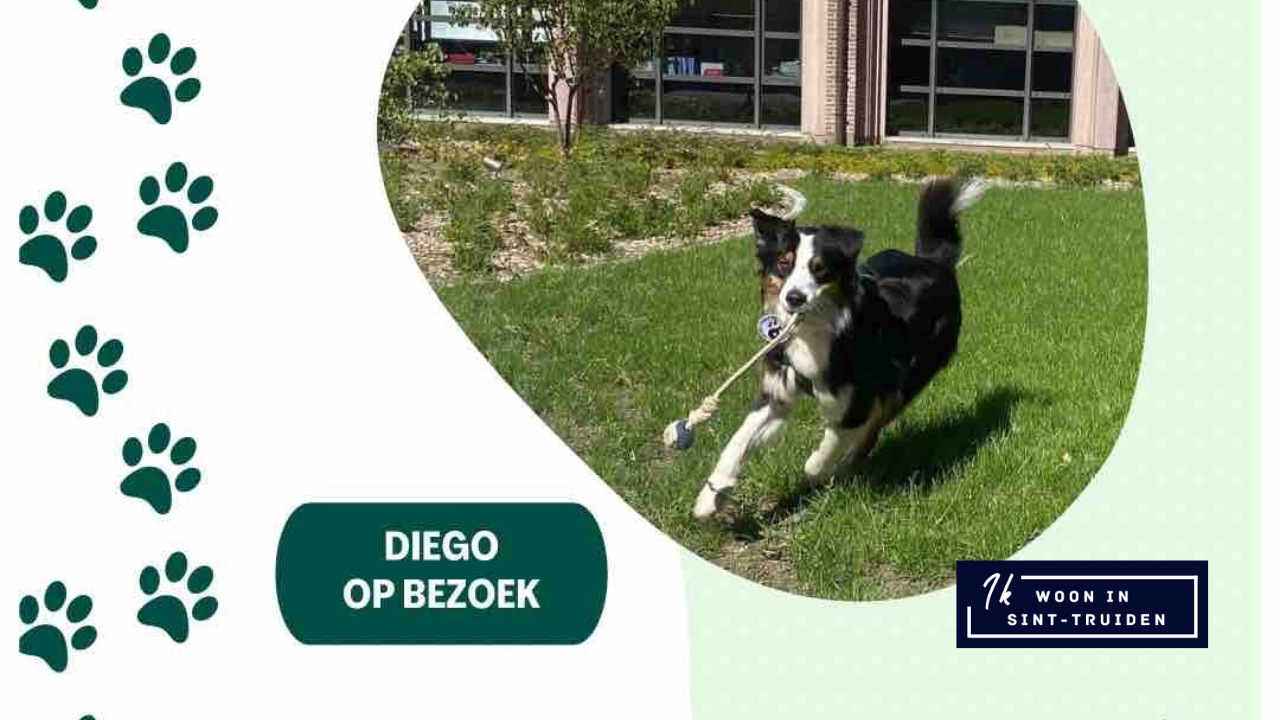 Diego, één van de therapiehonden van Therapiedier vzw, had zijn eerste sessie in ons huisdierenpaviljoen