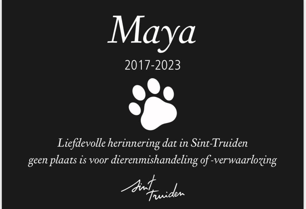 In Sint-Truiden is geen plaats voor dierenmishandeling