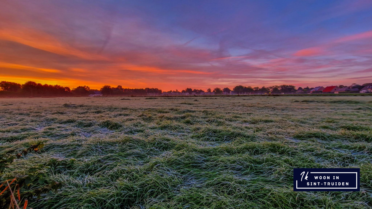 In beeld: een prachtige opkomende zon vandaag met de eerste vorst van het seizoen.