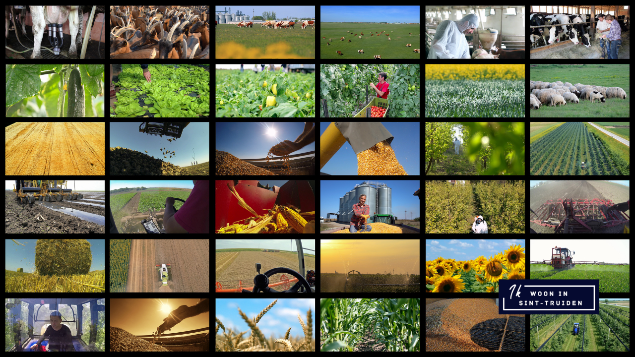 Uitbreiding flexi-jobs goede zaak voor land- en tuinbouwsector