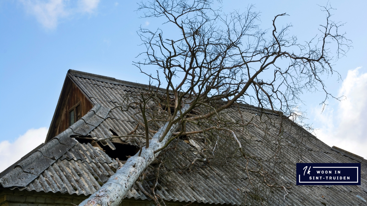 Maat­re­ge­len voor storm Ciarán