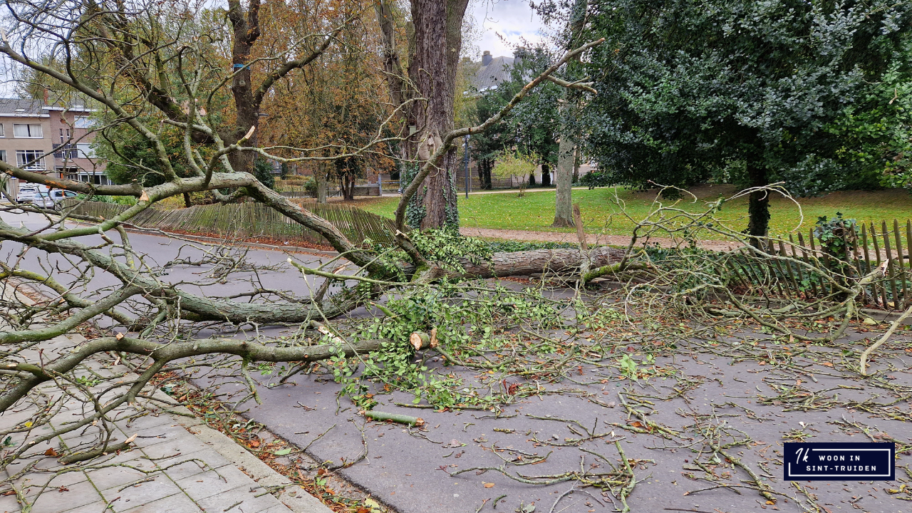 Grote afgebroken tak verspert de Parkstraat