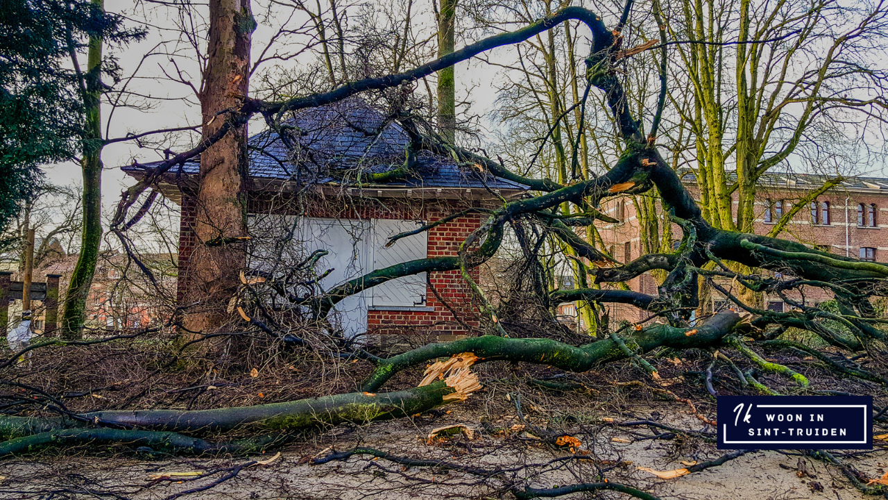 Vanaf 22 uur vanavond zijn bossen, parken en de Vesten gesloten in Sint-Truiden