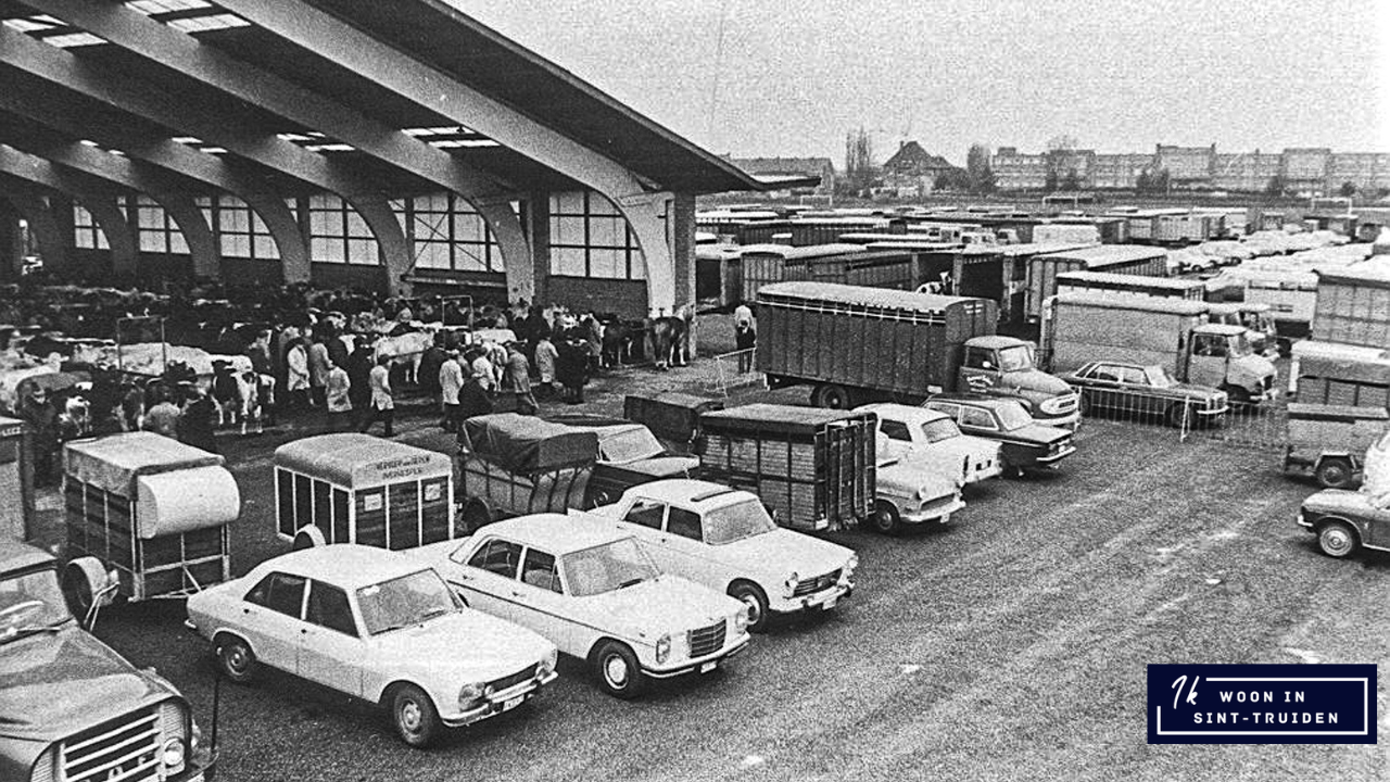 De Veemarkt in Sint-Truiden van lang geleden