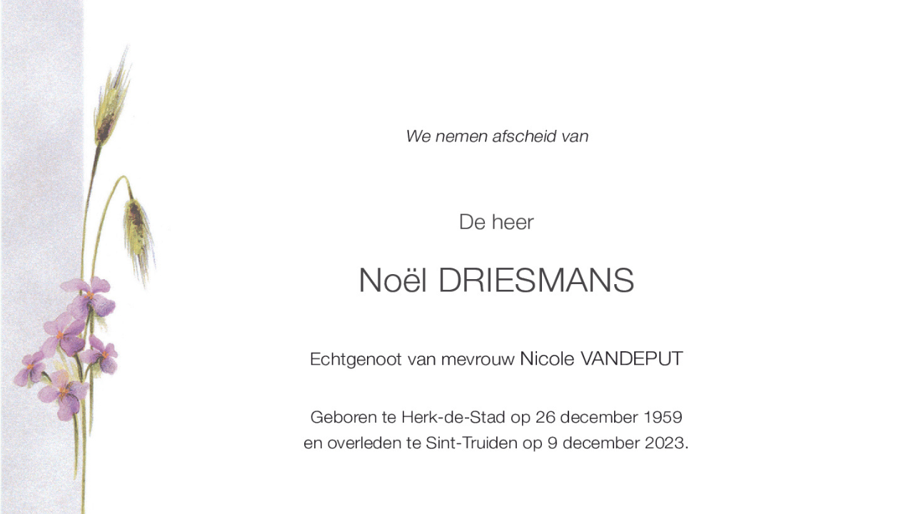 Overlijdensbericht van Noël DRIESMANS