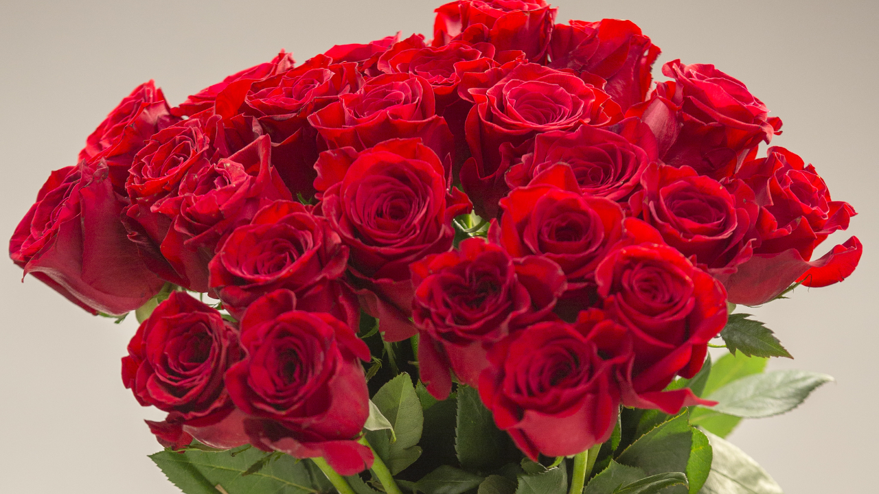 Bloemen Anita: Anita en Walter gaan op pensioen