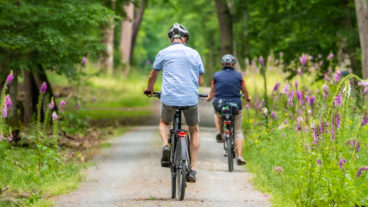 Fase 1en 2: Aanleg van de fietsring