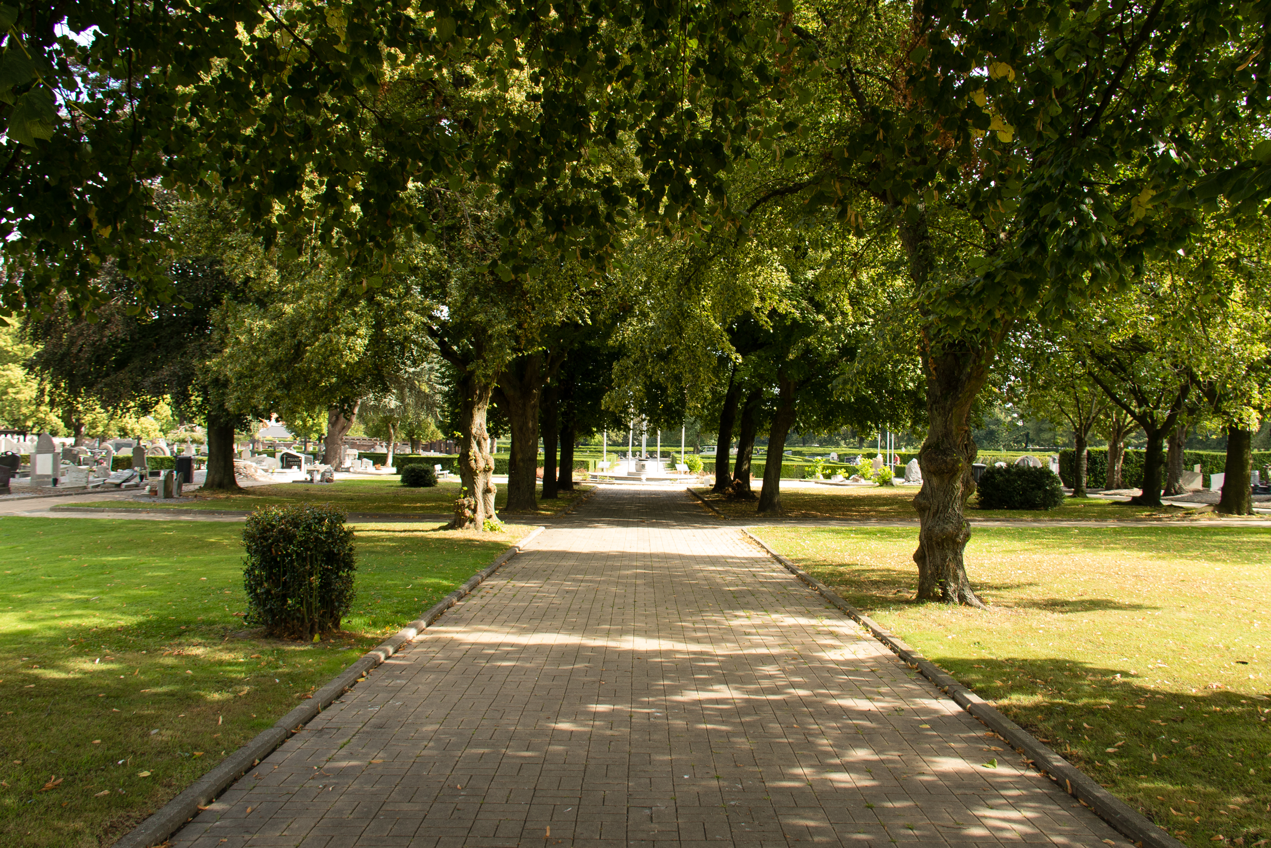 Verduidelijking rond het ruimen van graven