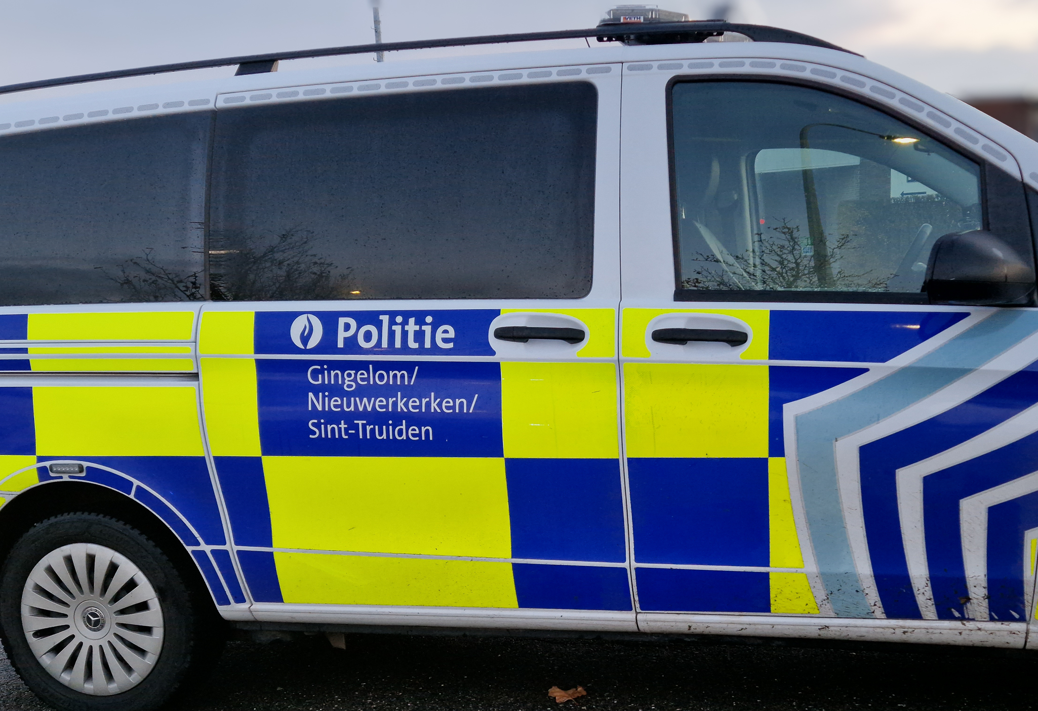 Hond definitief in beslag genomen in het kader van de openbare veiligheid