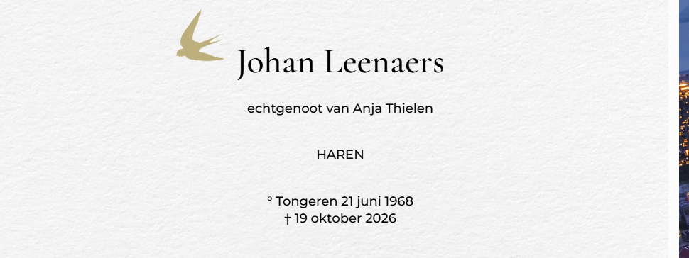 Overlijdensbericht van Johan Leenaers